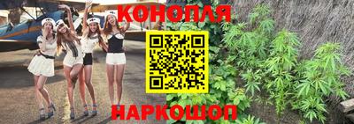 индика Бузулук